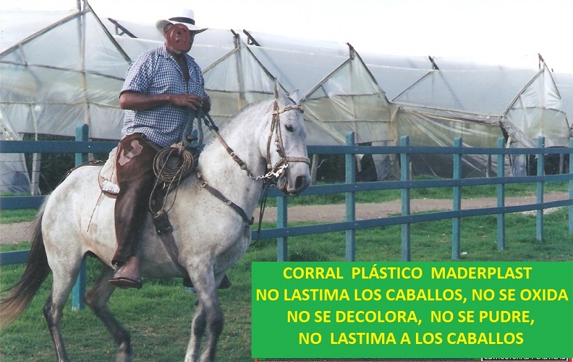 corral establo cubierto corrales establos con techo sombra ceba intensiva estabulada corrales establos planos diseños corraleja cubierta con teja techo estructura corral tejado cubierta 06 corral establo cubierto corrales establos corral establo cubierto corrales establos con techo sombra ceba intensiva estabulada corrales establos planos diseños corraleja cubierta con teja techo estructura corral tejado cubierta 06 con techo sombra ceba intensiva estabulada corrales establos planos diseños corraleja cubierta con teja techo estructura corral tejado cubierta 06